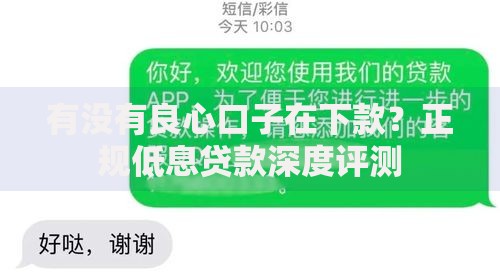 有没有良心口子在下款？正规低息贷款深度评测