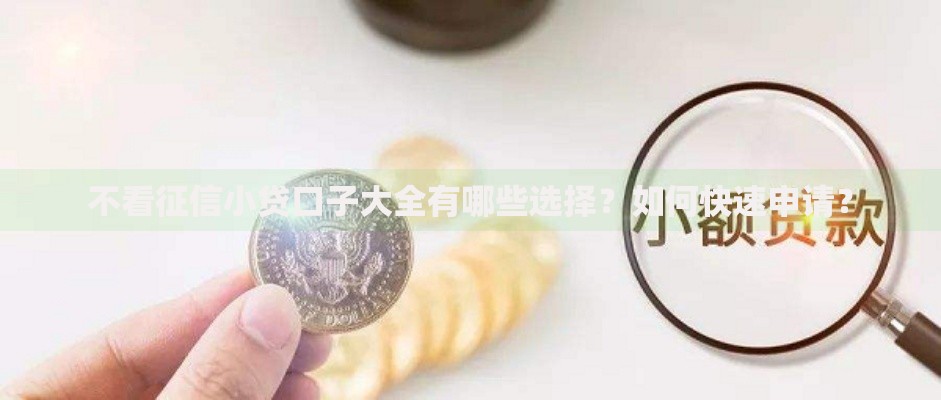 不看征信小贷口子大全有哪些选择？如何快速申请？