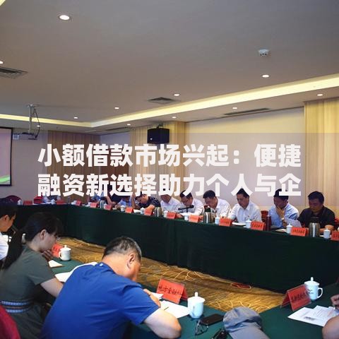 小额借款市场兴起：便捷融资新选择助力个人与企业