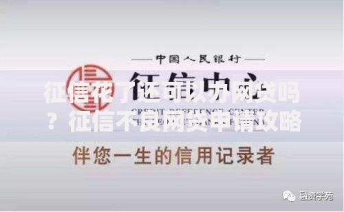 征信花了还可以办网贷吗？征信不良网贷申请攻略