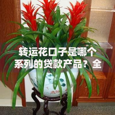 转运花口子是哪个系列的贷款产品?全面解析其特点与风险 转运花口子是哪个系列的贷款产品?全面解析其特点与风险