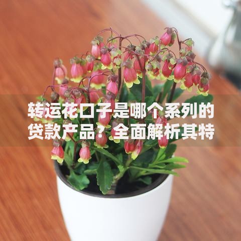 转运花口子是哪个系列的贷款产品?全面解析其特点与风险 转运花口子是哪个系列的贷款产品?全面解析其特点与风险