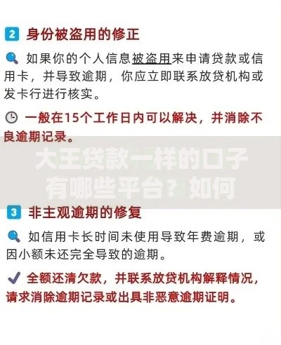 大王贷款一样的口子有哪些平台？如何选择正规安全的贷款渠道