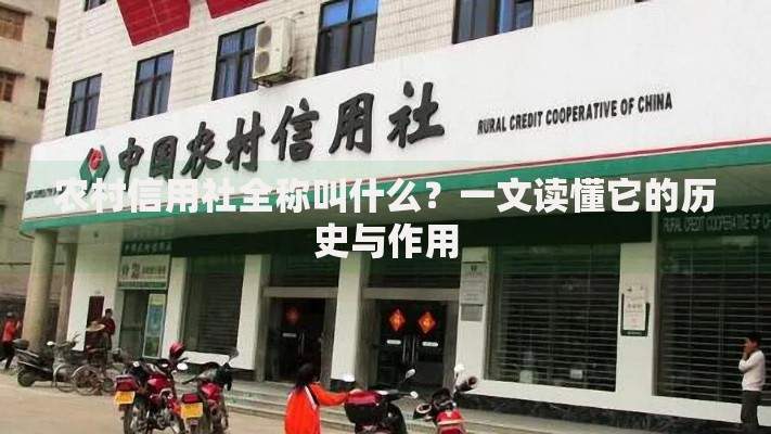 农村信用社全称叫什么？一文读懂它的历史与作用