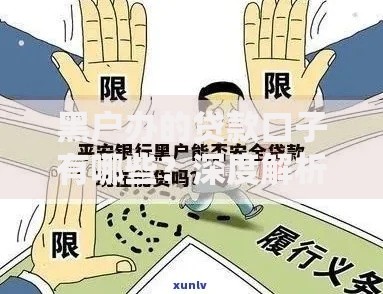 黑户办的贷款口子有哪些？深度解析申请条件与风险防范