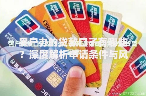 黑户办的贷款口子有哪些？深度解析申请条件与风险防范
