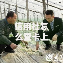 信用社怎么查卡上余额？教你三种常用方法随时掌握资金动态