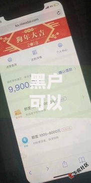 黑户可以下款的口子2025最新审核宽松渠道解析