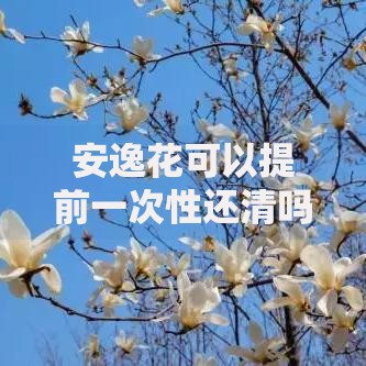 安逸花可以提前一次性还清吗？用户必看的还款攻略解析