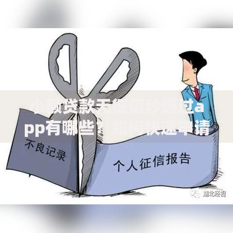 小额贷款无征信秒通过app有哪些？如何快速申请到账