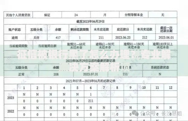 征信被银行黑了怎么办理？专业解决方案解析