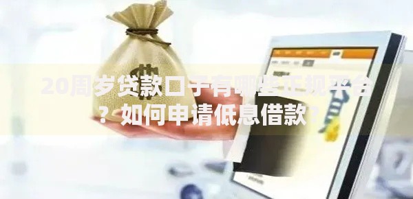 20周岁贷款口子有哪些正规平台？如何申请低息借款？