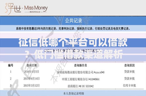 征信低哪个平台可以借款？低门槛借款渠道解析