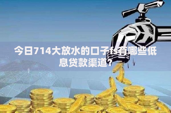 今日714大放水的口子fs有哪些低息贷款渠道？