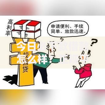 今日必下款借款怎么样？正规平台资质全面解析