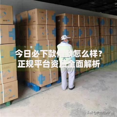 今日必下款借款怎么样？正规平台资质全面解析