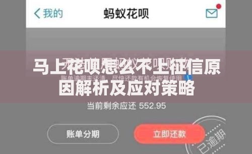 马上花呗怎么不上征信原因解析及应对策略