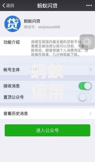 蚂蚁信用分650如何申请教育贷款？全流程详解