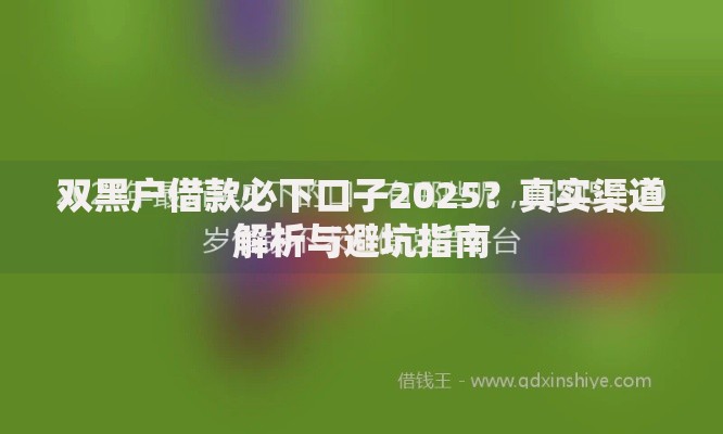 双黑户借款必下口子2025？真实渠道解析与避坑指南