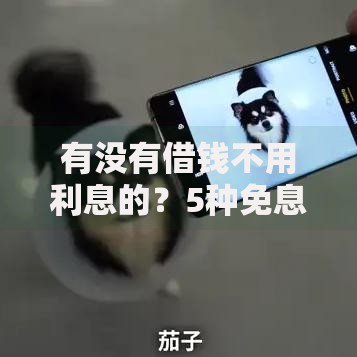 有没有借钱不用利息的？5种免息借款渠道全解析
