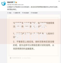 豆豆钱不看征信的原因揭晓：真实风控逻辑深度解析