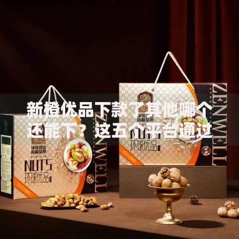 新橙优品下款了其他哪个还能下？这五个平台通过率高