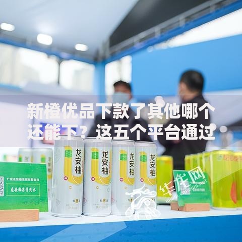 新橙优品下款了其他哪个还能下？这五个平台通过率高