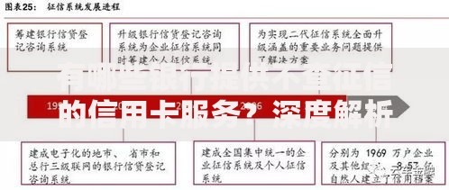 有哪些银行提供不查征信的信用卡服务？深度解析申请条件与风险提示