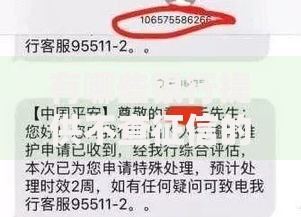 有哪些银行提供不查征信的信用卡服务？深度解析申请条件与风险提示