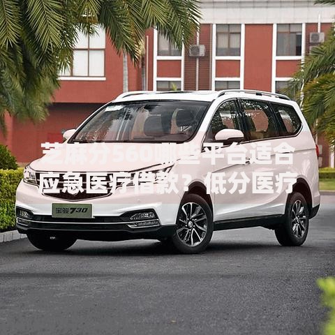 芝麻分560哪些平台适合应急医疗借款？低分医疗贷款方案解析