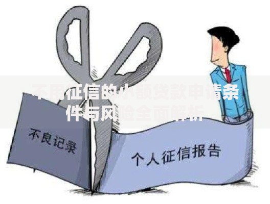 不用征信的小额贷款申请条件与风险全面解析