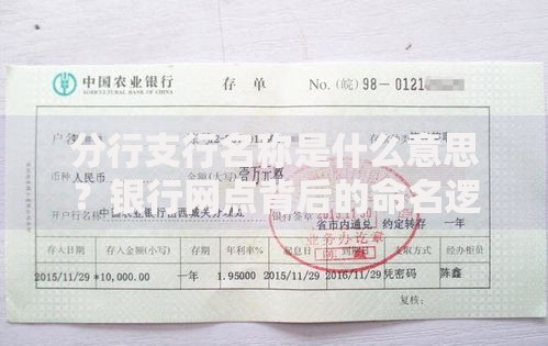 分行支行名称是什么意思？银行网点背后的命名逻辑解析