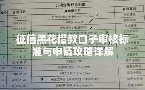 征信黑花借款口子审核标准与申请攻略详解 征信黑花借款口子审核标准与申请攻略详解