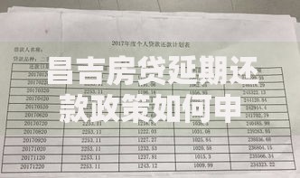 昌吉房贷延期还款政策如何申请？最新条件与流程详解
