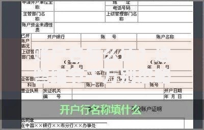 账户名怎么填？这些细节千万别忽略！