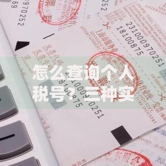 怎么查询个人税号？三种实用方法手把手教你