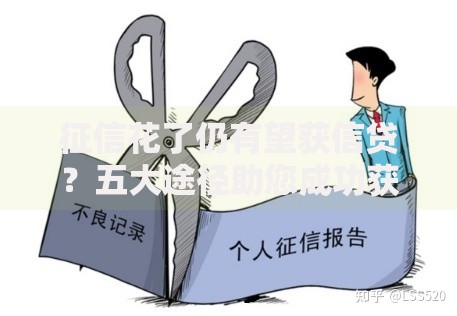 征信花了仍有望获信贷？五大途径助您成功获批