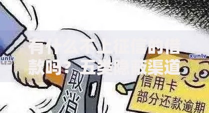 有什么不上征信的借款吗？五类隐蔽渠道深度解析