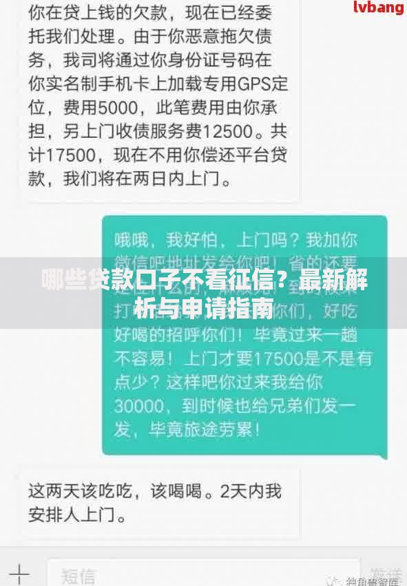 哪些贷款口子不看征信？最新解析与申请指南
