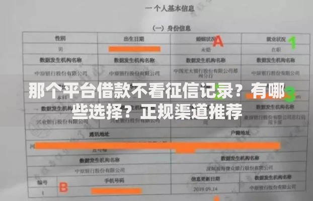 那个平台借款不看征信记录？有哪些选择？正规渠道推荐