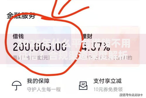 2025年什么平台借钱不用征信？合规渠道深度解析