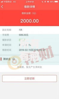 所有有前期贷款口子有哪些风险与申请条件？