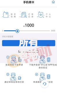 所有有前期贷款口子有哪些风险与申请条件？