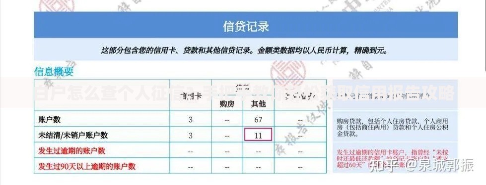 白户怎么查个人征信?手把手教你轻松获取信用报告攻略 白户怎么查个人征信?手把手教你轻松获取信用报告攻略
