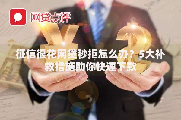 征信很花网贷秒拒怎么办？5大补救措施助你快速下款