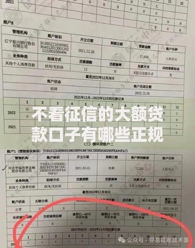 不看征信的大额贷款口子有哪些正规渠道可选？