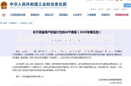 无视黑白户网贷口子如何申请？深度解析条件与风险