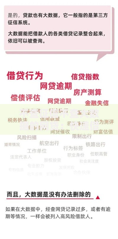 不查征信不查大数据的网贷：快速借款新选择解析