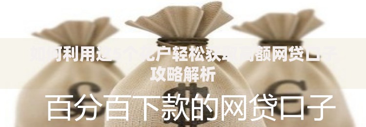 如何利用这5个花户轻松获取高额网贷口子攻略解析