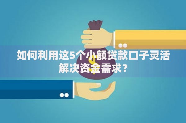 如何利用这5个小额贷款口子灵活解决资金需求？